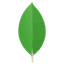 MongoDB